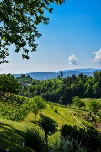 hotel pension moosmann